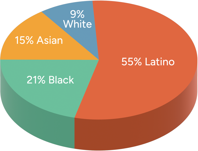 Percentage Race PieChart 2025 v2 1536x1168 1
