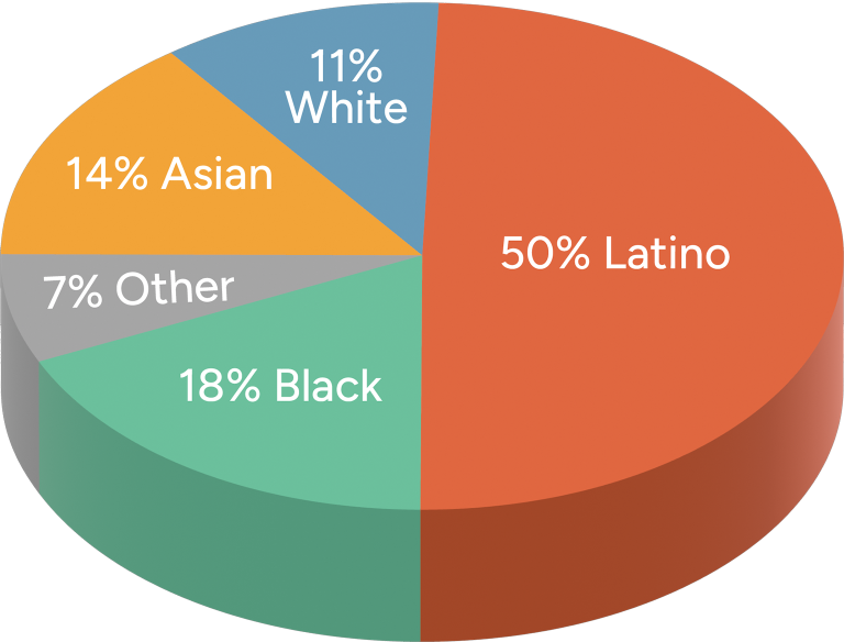 Percentage Race PieChart 2026 v1